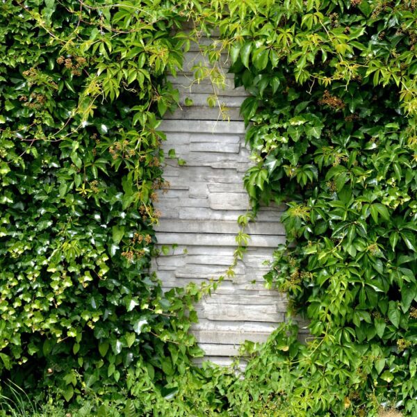 mur pierre paysagiste